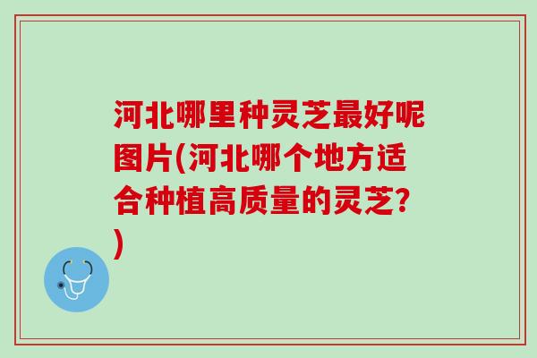 河北哪里种灵芝最好呢图片(河北哪个地方适合种植高质量的灵芝？)