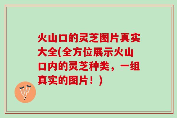 火山口的灵芝图片真实大全(全方位展示火山口内的灵芝种类，一组真实的图片！)