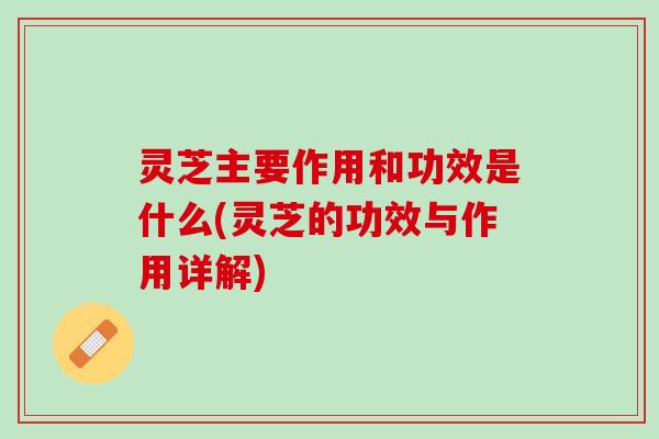 灵芝主要作用和功效是什么(灵芝的功效与作用详解)