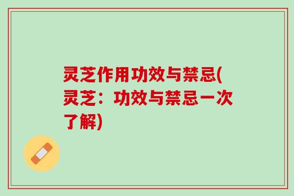 灵芝作用功效与禁忌(灵芝：功效与禁忌一次了解)