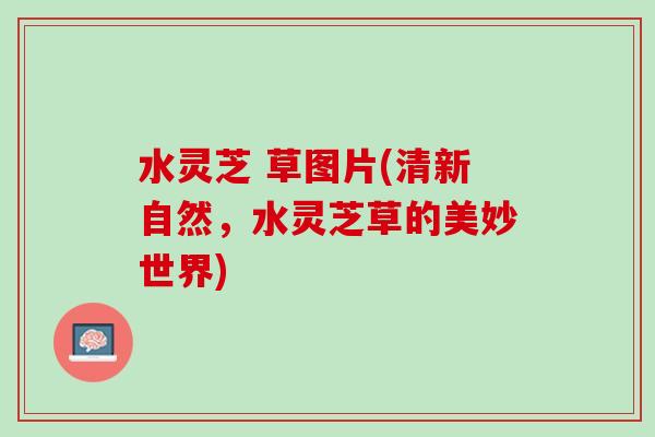 水灵芝 草图片(清新自然，水灵芝草的美妙世界)
