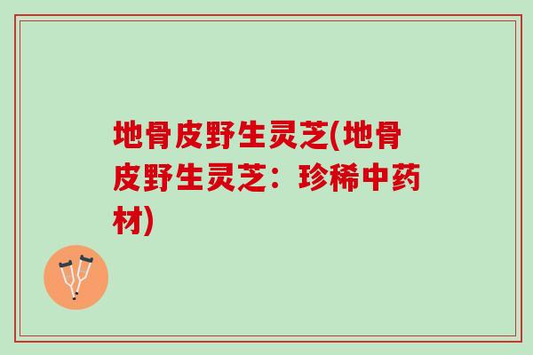 地骨皮野生灵芝(地骨皮野生灵芝：珍稀中药材)