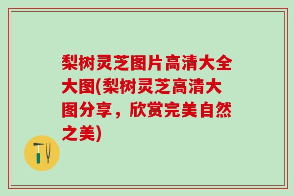 梨树灵芝图片高清大全大图(梨树灵芝高清大图分享,欣赏完美自然之美) 梨树灵芝图片高清大全大图(梨树灵芝高清大图分享,欣赏完美自然之美)