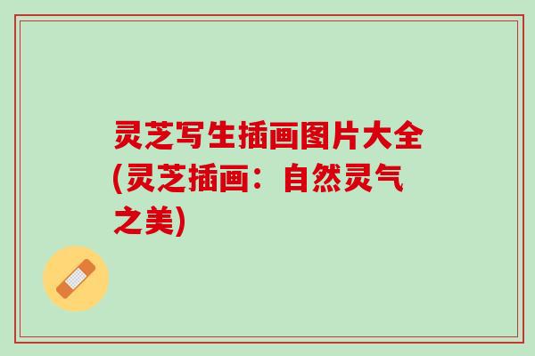 灵芝写生插画图片大全(灵芝插画：自然灵气之美)