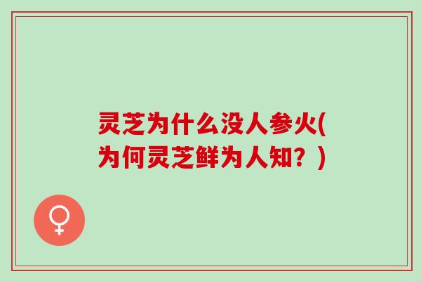 灵芝为什么没人参火(为何灵芝鲜为人知？)
