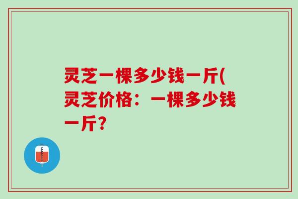 灵芝一棵多少钱一斤(灵芝价格：一棵多少钱一斤？