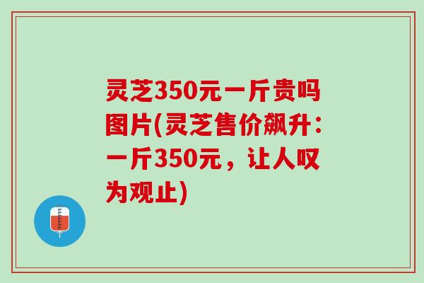 灵芝350元一斤贵吗图片(灵芝售价飙升:一斤350元,让人叹为观止) 灵芝350元一斤贵吗图片(灵芝售价飙升:一斤350元,让人叹为观止)