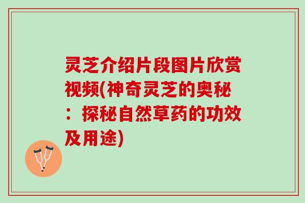 灵芝介绍片段图片欣赏视频(神奇灵芝的奥秘：探秘自然草药的功效及用途)