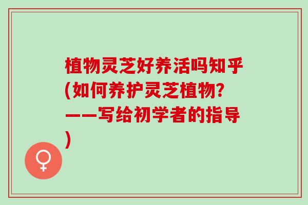 植物灵芝好养活吗知乎(如何养护灵芝植物？——写给初学者的指导)