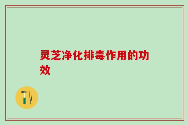 灵芝净化作用的功效