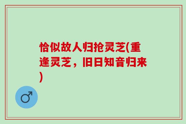 恰似故人归抢灵芝(重逢灵芝，旧日知音归来)