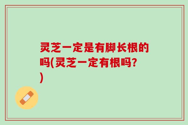 灵芝一定是有脚长根的吗(灵芝一定有根吗？)