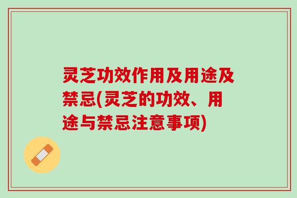 灵芝功效作用及用途及禁忌(灵芝的功效、用途与禁忌注意事项)