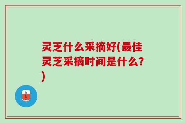 灵芝什么采摘好(最佳灵芝采摘时间是什么？)