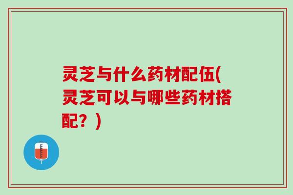 灵芝与什么药材配伍(灵芝可以与哪些药材搭配？)