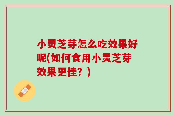 小灵芝芽怎么吃效果好呢(如何食用小灵芝芽效果更佳?) 小灵芝芽怎么吃效果好呢(如何食用小灵芝芽效果更佳?)
