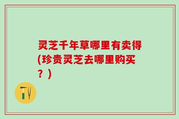 灵芝千年草哪里有卖得(珍贵灵芝去哪里购买?) 灵芝千年草哪里有卖得(珍贵灵芝去哪里购买?)