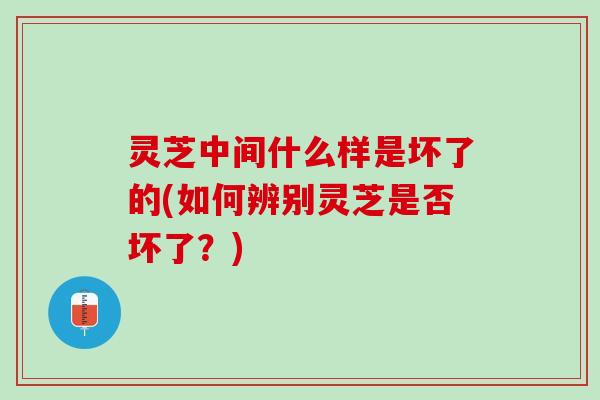 灵芝中间什么样是坏了的(如何辨别灵芝是否坏了?) 灵芝中间什么样是坏了的(如何辨别灵芝是否坏了?)