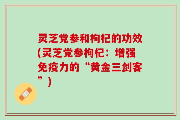 灵芝党参和枸杞的功效(灵芝党参枸杞：增强免疫力的“黄金三剑客”)