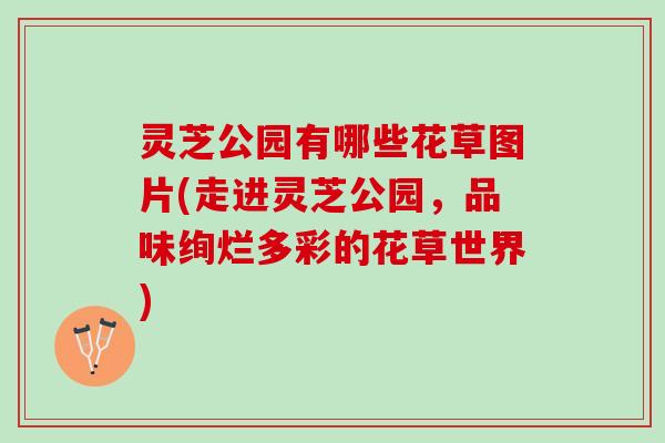 灵芝公园有哪些花草图片(走进灵芝公园，品味绚烂多彩的花草世界)