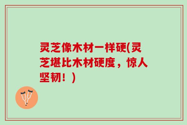 灵芝像木材一样硬(灵芝堪比木材硬度，惊人坚韧！)