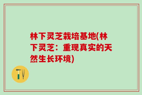 林下灵芝栽培基地(林下灵芝:重现真实的天然生长环境) 林下灵芝栽培基地(林下灵芝:重现真实的天然生长环境)