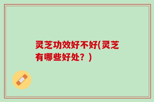 灵芝功效好不好(灵芝有哪些好处？)