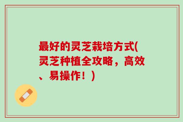 好的灵芝栽培方式(灵芝种植全攻略，高效、易操作！)