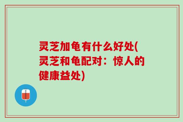 灵芝加龟有什么好处(灵芝和龟配对:惊人的健康益处) 灵芝加龟有什么好处(灵芝和龟配对:惊人的健康益处)