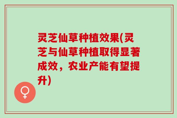 灵芝仙草种植效果(灵芝与仙草种植取得显著成效,农业产能有望提升) 灵芝仙草种植效果(灵芝与仙草种植取得显著成效,农业产能有望提升)