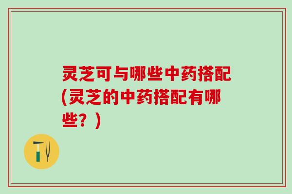 灵芝可与哪些中药搭配(灵芝的中药搭配有哪些？)