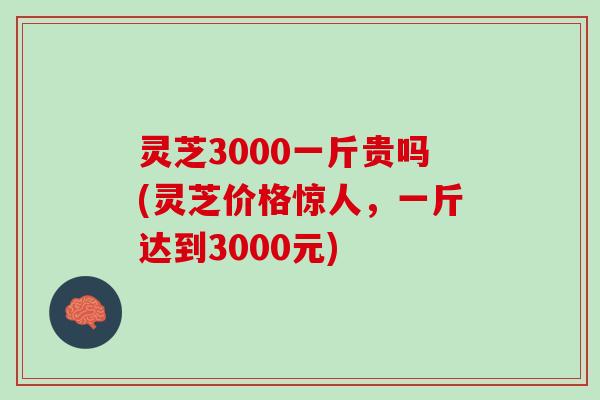 灵芝3000一斤贵吗(灵芝价格惊人，一斤达到3000元)