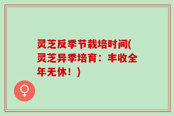 灵芝反季节栽培时间(灵芝异季培育：丰收全年无休！)