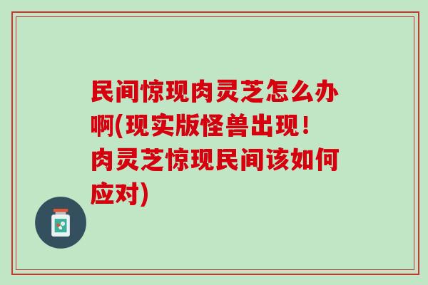 民间惊现肉灵芝怎么办啊(现实版怪兽出现!肉灵芝惊现民间该如何应对) 民间惊现肉灵芝怎么办啊(现实版怪兽出现!肉灵芝惊现民间该如何应对)