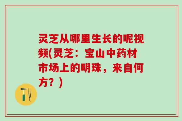 灵芝从哪里生长的呢视频(灵芝：宝山材市场上的明珠，来自何方？)
