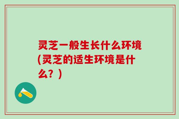 灵芝一般生长什么环境(灵芝的适生环境是什么？)
