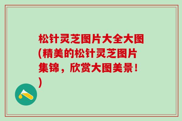 松针灵芝图片大全大图(精美的松针灵芝图片集锦，欣赏大图美景！)
