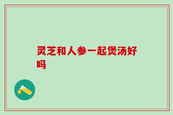 灵芝和人参一起煲汤好吗