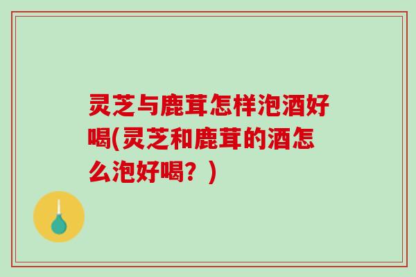 灵芝与鹿茸怎样泡酒好喝(灵芝和鹿茸的酒怎么泡好喝？)