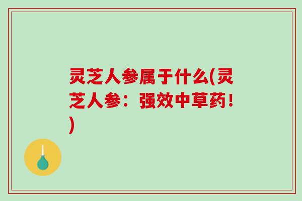 灵芝人参属于什么(灵芝人参：强效中草药！)