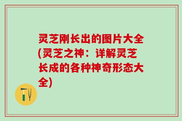 灵芝刚长出的图片大全(灵芝之神：详解灵芝长成的各种神奇形态大全)
