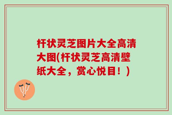 杆状灵芝图片大全高清大图(杆状灵芝高清壁纸大全，赏心悦目！)