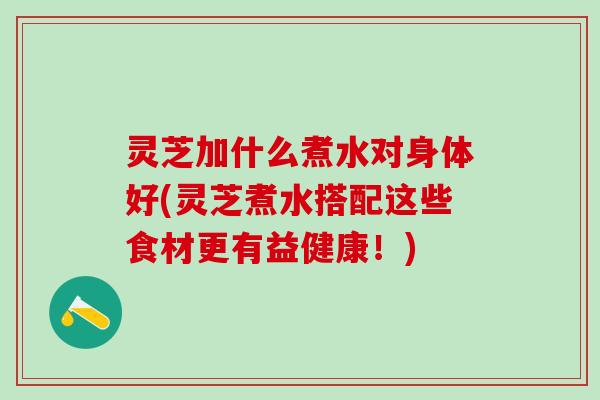 灵芝加什么煮水对身体好(灵芝煮水搭配这些食材更有益健康!) 灵芝加什么煮水对身体好(灵芝煮水搭配这些食材更有益健康!)
