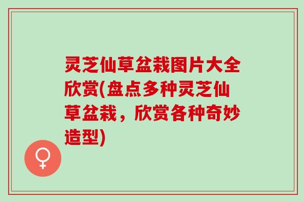 灵芝仙草盆栽图片大全欣赏(盘点多种灵芝仙草盆栽，欣赏各种奇妙造型)