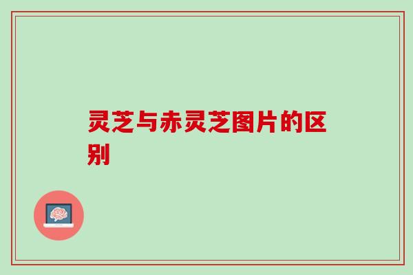 灵芝与赤灵芝图片的区别 灵芝与赤灵芝图片的区别