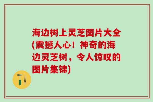 海边树上灵芝图片大全(震撼人心！神奇的海边灵芝树，令人惊叹的图片集锦)