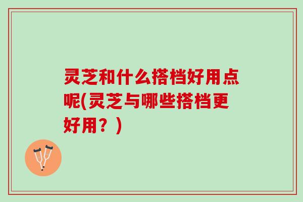 灵芝和什么搭档好用点呢(灵芝与哪些搭档更好用？)