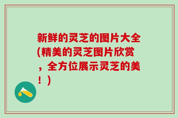 新鲜的灵芝的图片大全(精美的灵芝图片欣赏，全方位展示灵芝的美！)