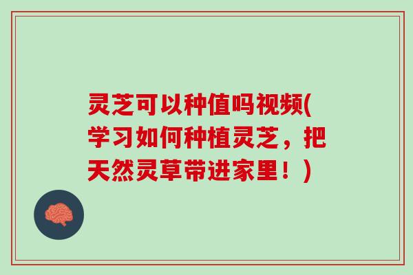 灵芝可以种值吗视频(学习如何种植灵芝，把天然灵草带进家里！)
