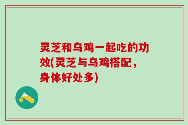 灵芝和乌鸡一起吃的功效(灵芝与乌鸡搭配，身体好处多)